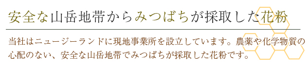 安全な山岳地帯からみつばちが採取した花粉 当社はニュージーランドに現地事業所を設立しています。農薬や化学物質の心配のない、安全な山岳地帯でみつばちが採取した花粉です。