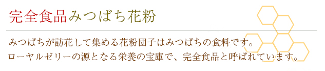 完全食品みつばち花粉 みつばちが花を徘徊して集める花粉団子はみつばちの食料です。ローヤルゼリーの源となる栄養の宝庫で、完全食品と呼ばれています。