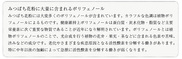 みつばち花粉に大量に含まれるポリフェノールみつばち花粉には大変多くのポリフェノールが含まれています。カラフルな色調は植物ポリフェノールによるものです。健康維持上ポリフェノールは蛋白質・炭水化物・脂質など主要栄養素に次ぐ重要な物質であることが近年になり解明されています。ポリフェノールとは植物ポリフェノールのことで、光合成を行う植物の花弁・果実・茎などに含まれる色素や苦味、渋みなどの成分です。老化やさまざまな疾患原因となる活性酸素を分解する働きがあります。特に中年以後の加齢によって急激に活性酸素を分解する働きが弱くなります。