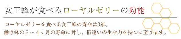 女王蜂が食べるローヤルゼリーの効能 ローヤルゼリーを食べる女王蜂の寿命は3年。働き蜂の３～４ヶ月の寿命に対し、桁違い生命力を持つに至ります。