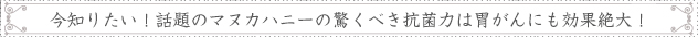 今知りたい！話題のマヌカハニーの驚くべき抗菌力は胃癌にも効果絶大！