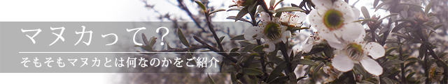 マヌカって？のページ