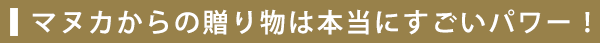 マヌカからの贈り物は本当にすごいパワー