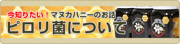 ピロリ菌について