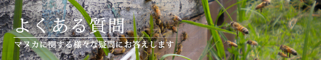 よくある質問のページ