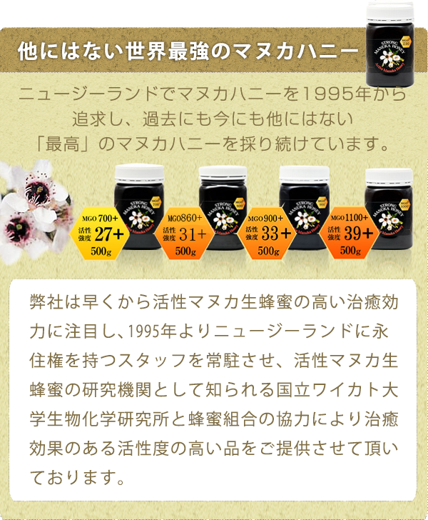 他にはない世界最強のマヌカハニー