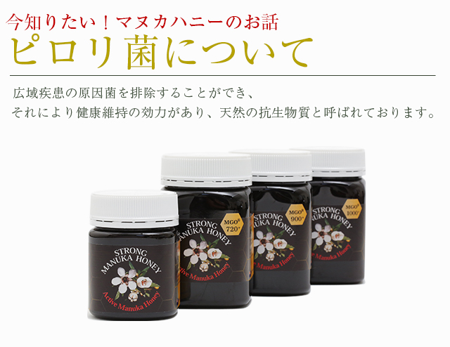 ピロリ菌にも効果絶大！マヌカハニーの殺菌力！