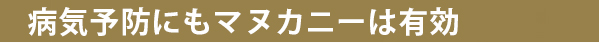 病気予防にもマヌカハニーは有効