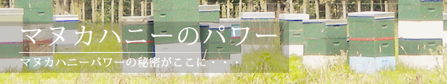 マヌカハニーのパワーの秘密は