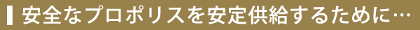 安全なプロポリスを安定供給する為に・・・