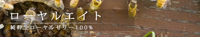 ローヤルエイトのページ