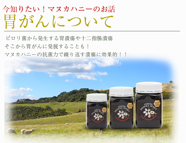 今知りたい！話題のマヌカハニーの驚くべき抗菌力 胃がんにも効果絶大！ ピロリ菌から発生する胃潰瘍や十二指腸潰瘍そこから胃がんに発展することも！マヌカハニーの抗菌力で繰り返す潰瘍に効果的！！