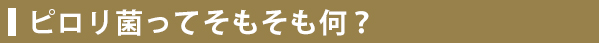 ピロリ菌ってそもそも何？