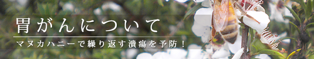 胃がんにも効果絶大！